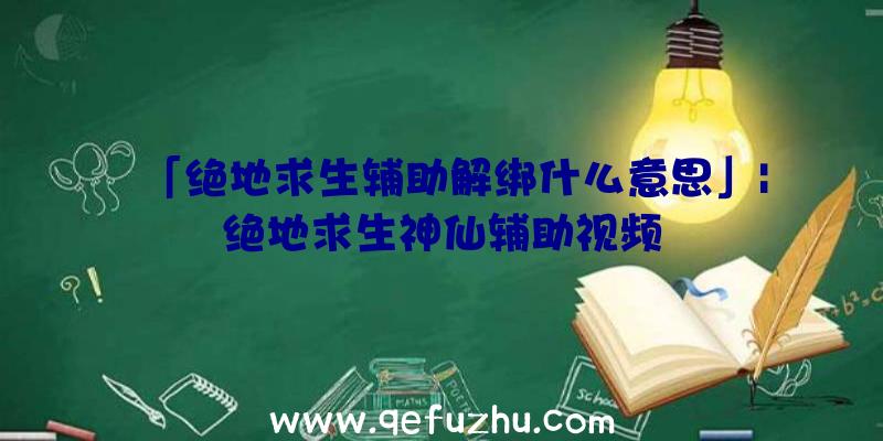 「绝地求生辅助解绑什么意思」|绝地求生神仙辅助视频